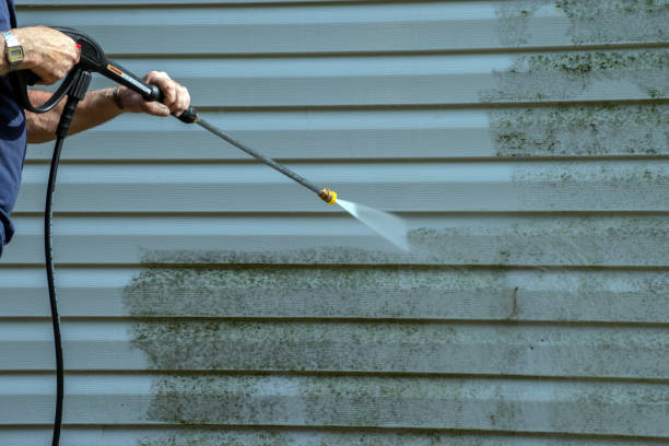 Best Roof Washing  in Estero, FL