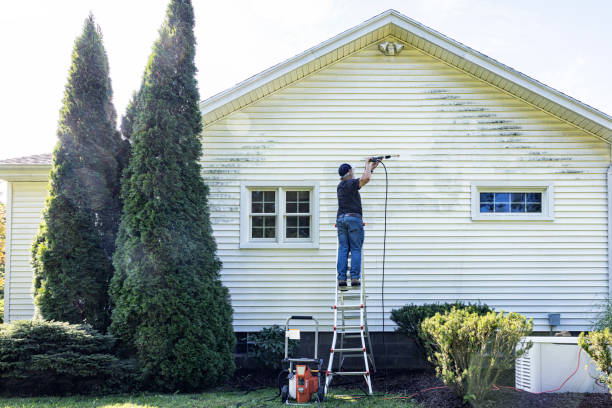 Best Driveway Pressure Washing  in Estero, FL